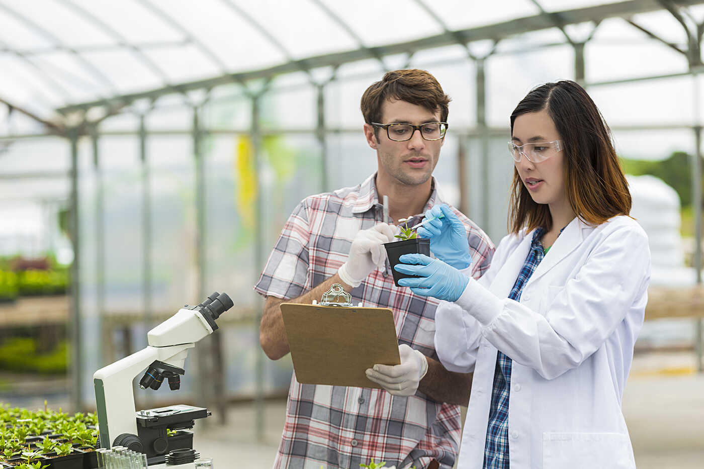 Online Environmental Science Degrees 2022