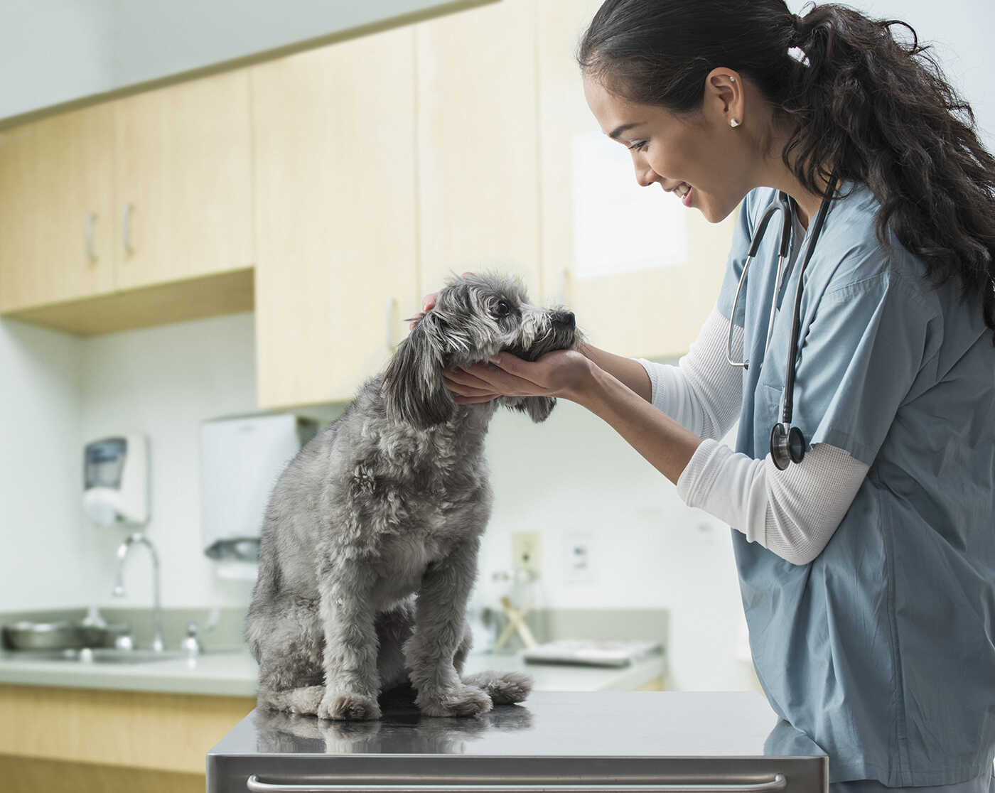What Can You Do With A College Degree Working With Animals?